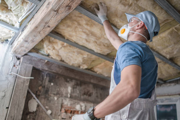 Best Geographic-Specific Insulation Services in Richmond, VA