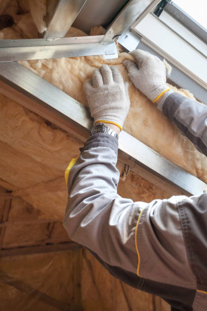 Best Eco-Friendly Insulation in Richmond, VA