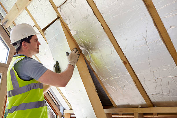 Best Geographic-Specific Insulation Services in Richmond, VA